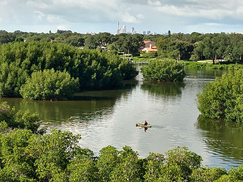 Kayak